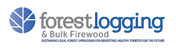 Forest Logging